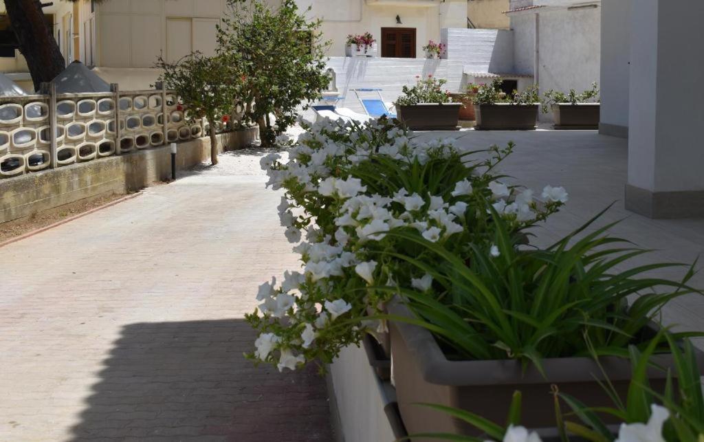 B&B Lastracu Castellammare del Golfo Bagian luar foto