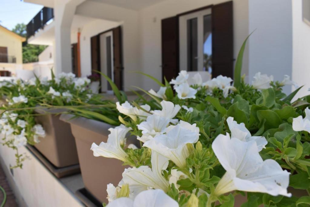 B&B Lastracu Castellammare del Golfo Bagian luar foto