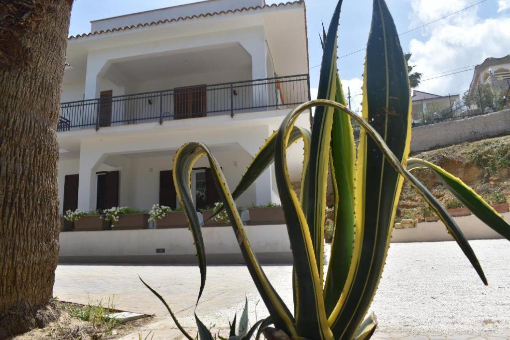 B&B Lastracu Castellammare del Golfo Bagian luar foto